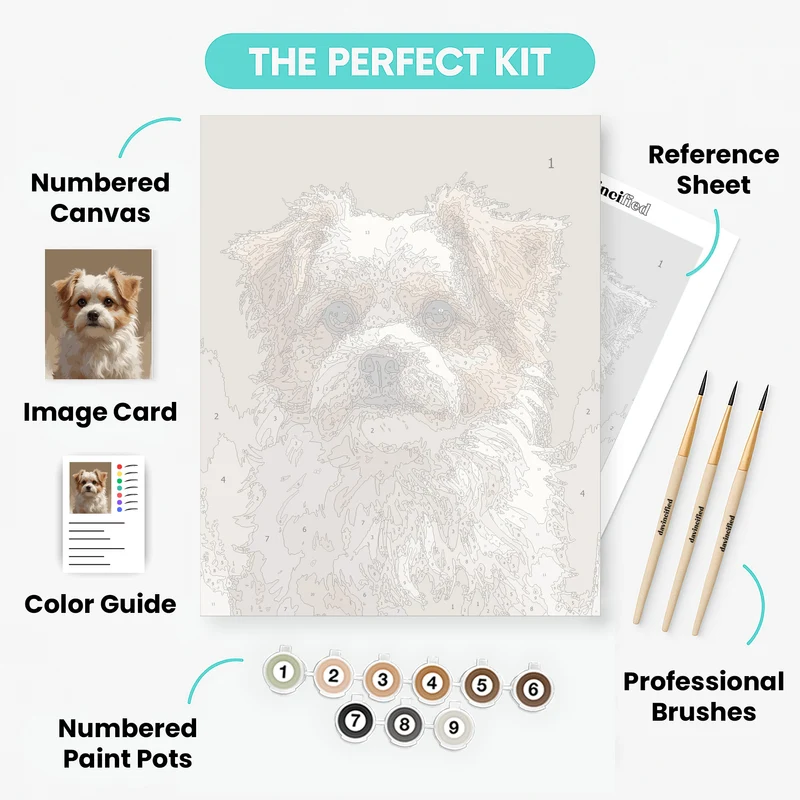 Fluffy Tan and White Dog Portrait - Paint by Numbers Kit