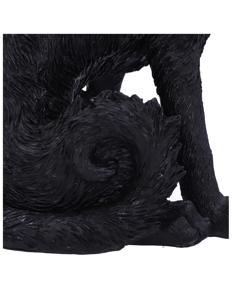 Salem Hexenkatze 19,6cm