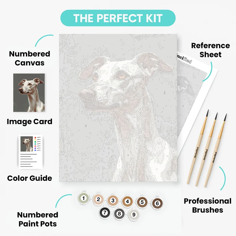 Elegant Greyhound with Amber Eyes - Paint by Numbers Kit