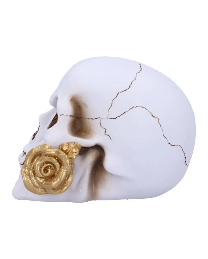 Weißer Totenschädel mit goldener Rose