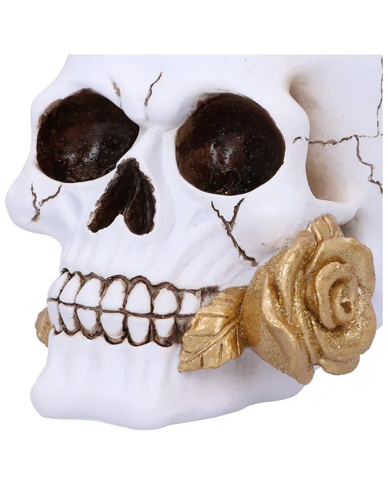 Weißer Totenschädel mit goldener Rose