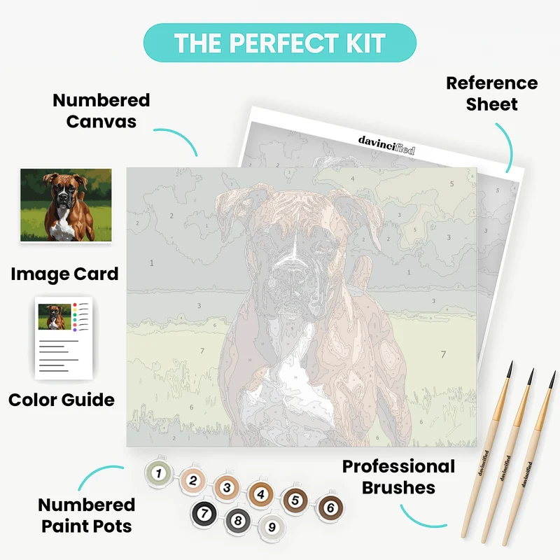 Boxer Dog in Sunny Meadow - Paint by Numbers Kit