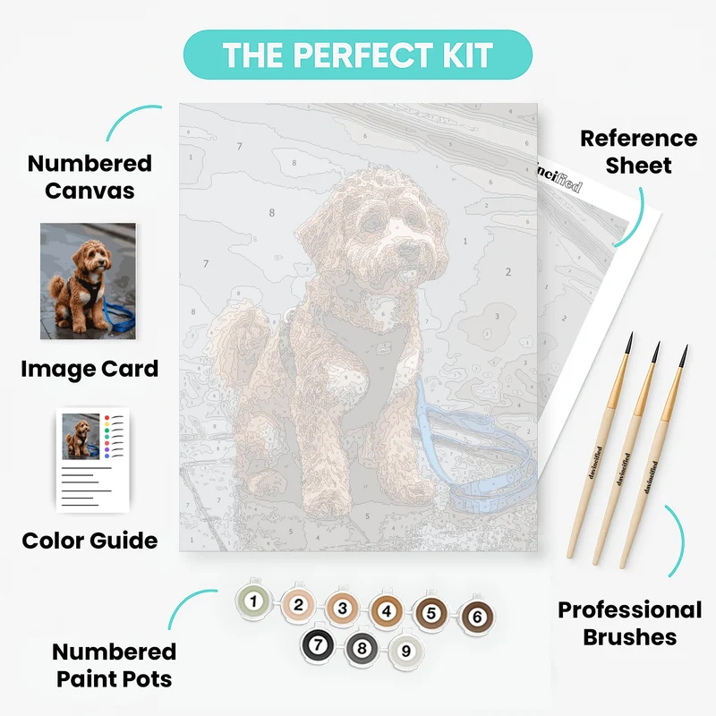 Adorable Labradoodle on Rainy Day Walk - Paint by Numbers Kit