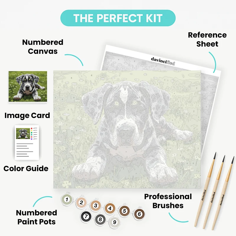 Great Dane Puppy in Clover Field - Paint by Numbers Kit