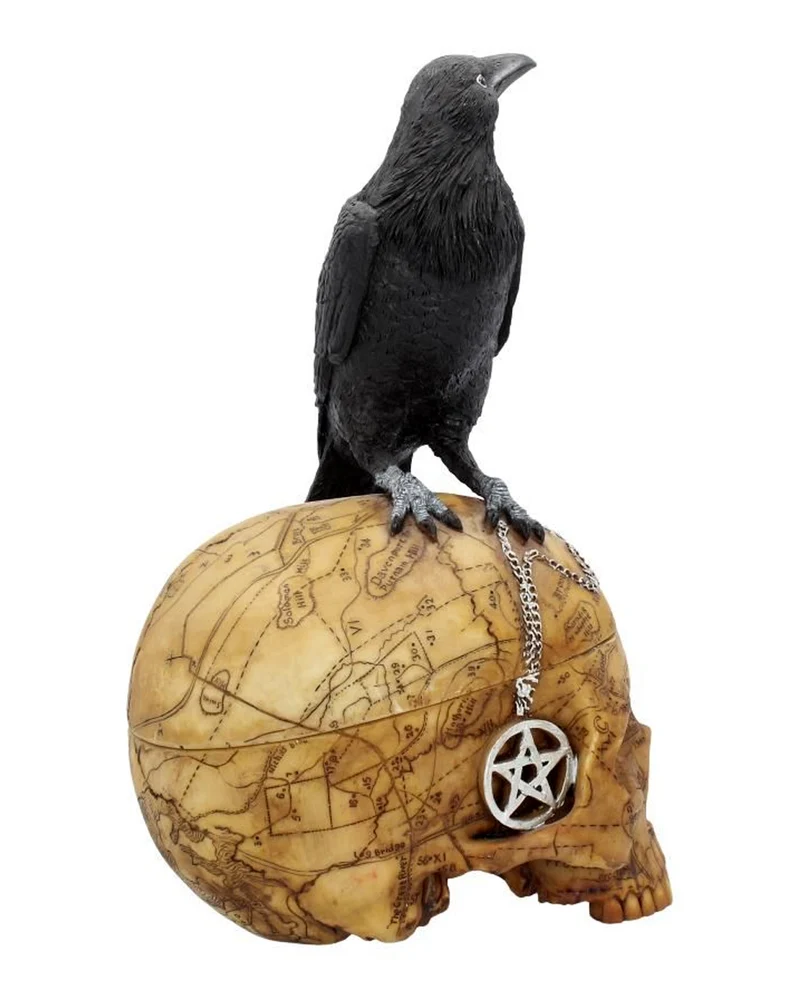 Salem Totenschädel mit Rabe