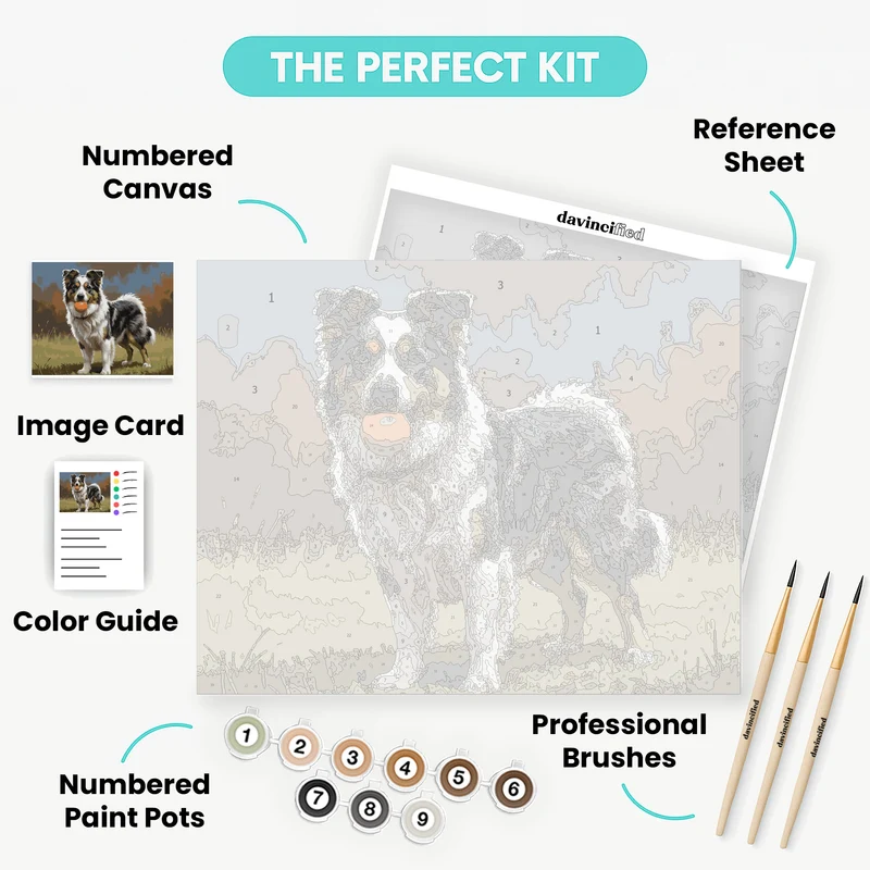 Australian Shepherd with Orange Ball - Paint by Numbers Kit