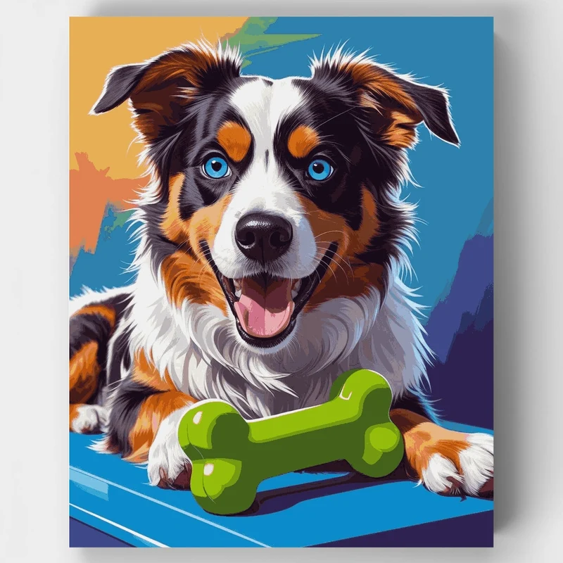 Happy Australian Shepherd with Toy - Paint by Numbers Kit