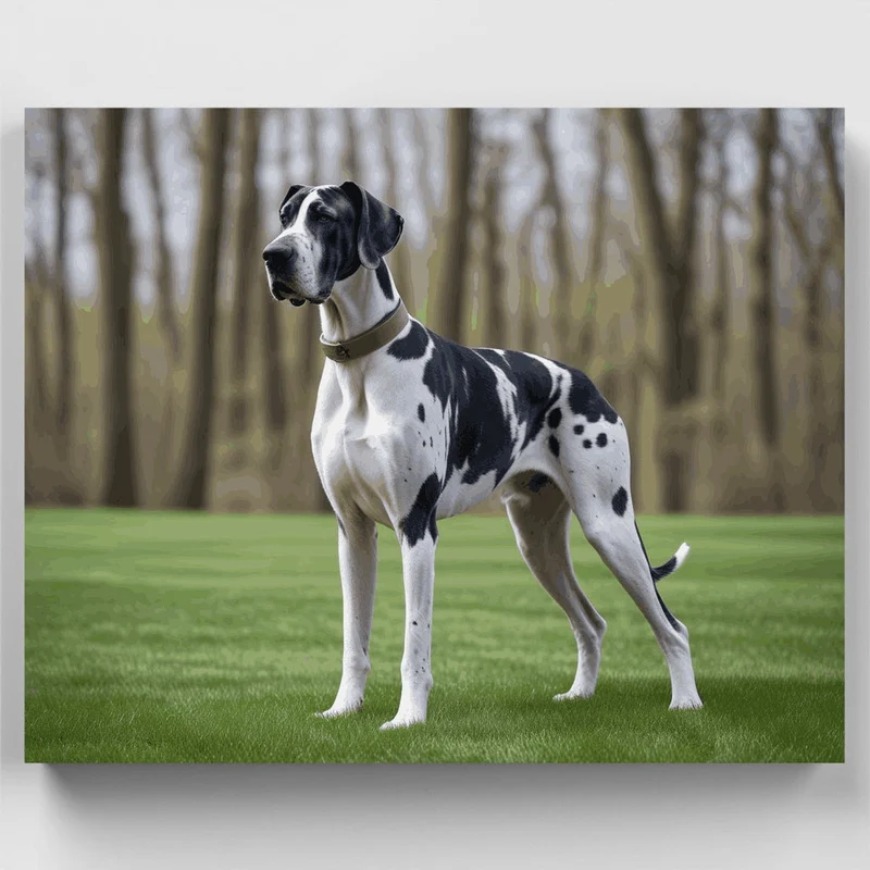 Harlequin Great Dane in Forest - Paint by Numbers Kit