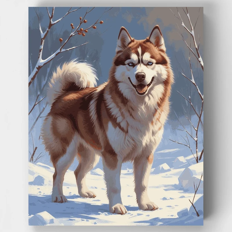 Husky in Winter Snow - Paint by Numbers Kit