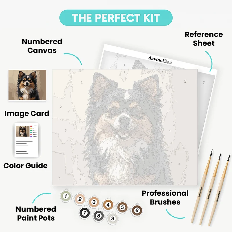 Tricolor Pomeranian Portrait - Paint by Numbers Kit