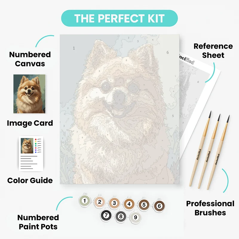 Happy Pomeranian Portrait - Paint by Numbers Kit