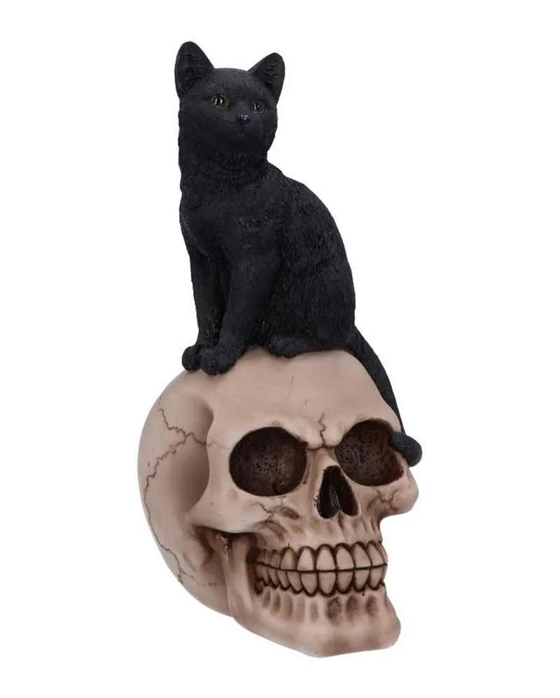 Schwarze Katze auf Totenkopf 24,3cm