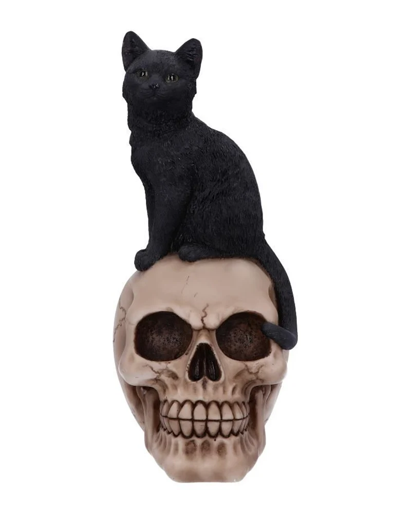 Schwarze Katze auf Totenkopf 24,3cm