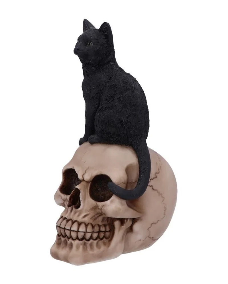 Schwarze Katze auf Totenkopf 24,3cm