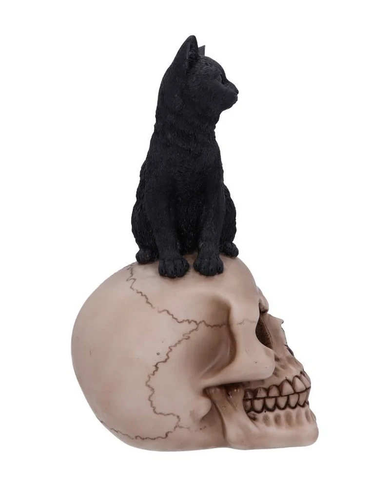 Schwarze Katze auf Totenkopf 24,3cm