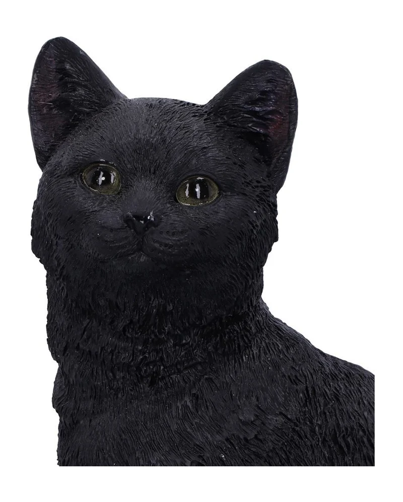 Schwarze Katze auf Totenkopf 24,3cm