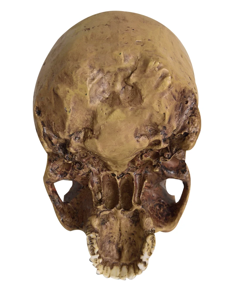 Antiker Totenschädel ohne Unterkiefer 19cm