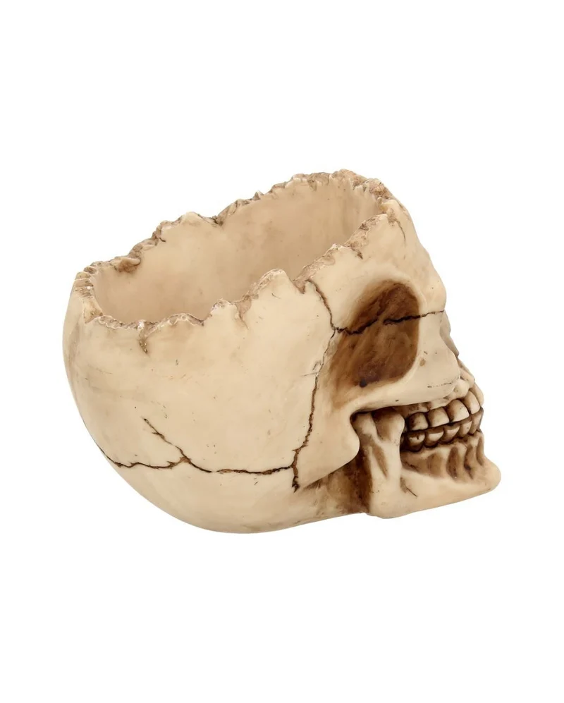 Totenschädel Schale mit offener Schädeldecke