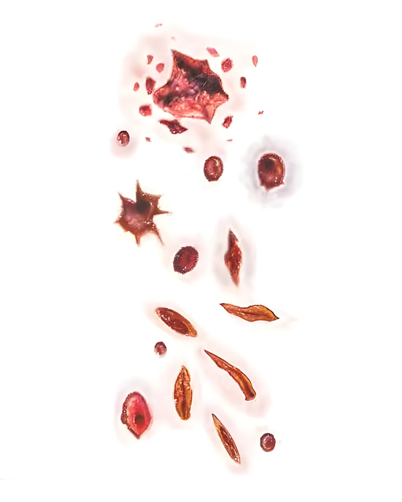 Erschossen & Erstochen Aufklebetattoo