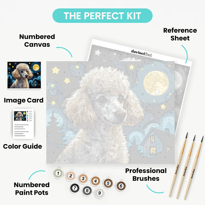 Poodle Under Starry Night Sky - Paint by Numbers Kit