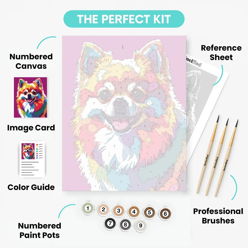 Vibrant Rainbow Pomeranian - Paint by Numbers Kit