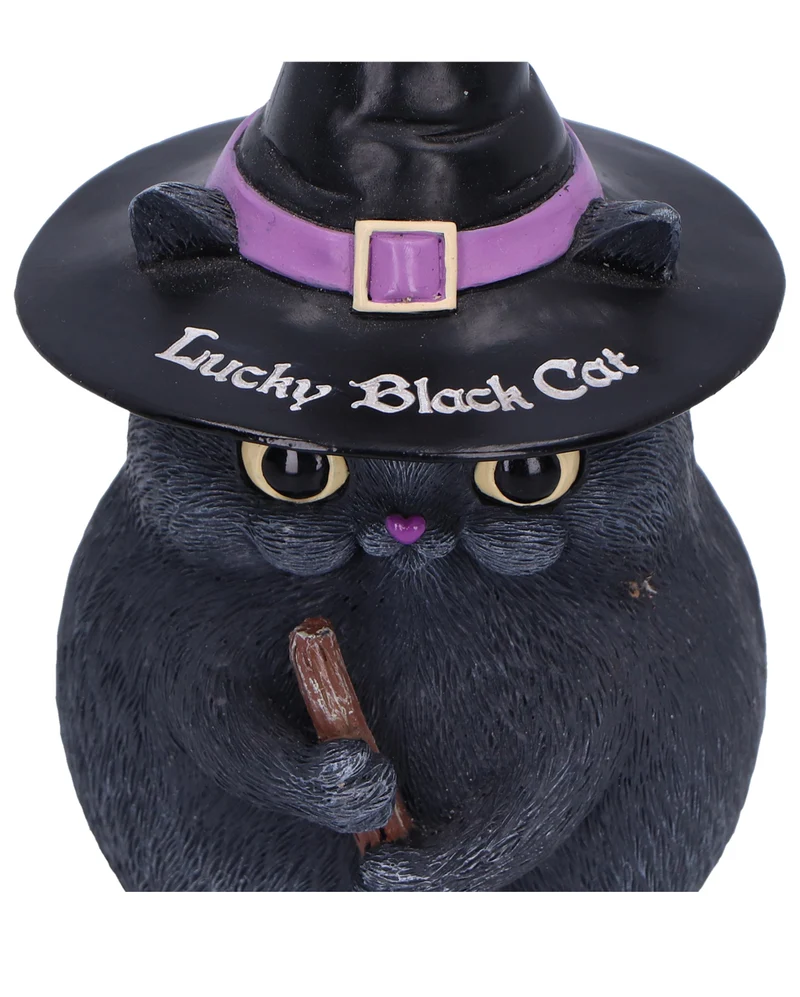 Schwarze Katze mit Hexenhut