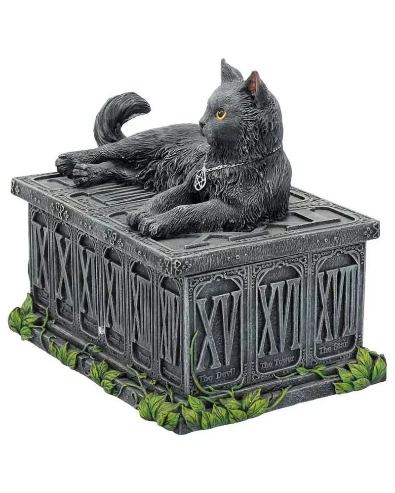 Glückswächter Katze auf Box