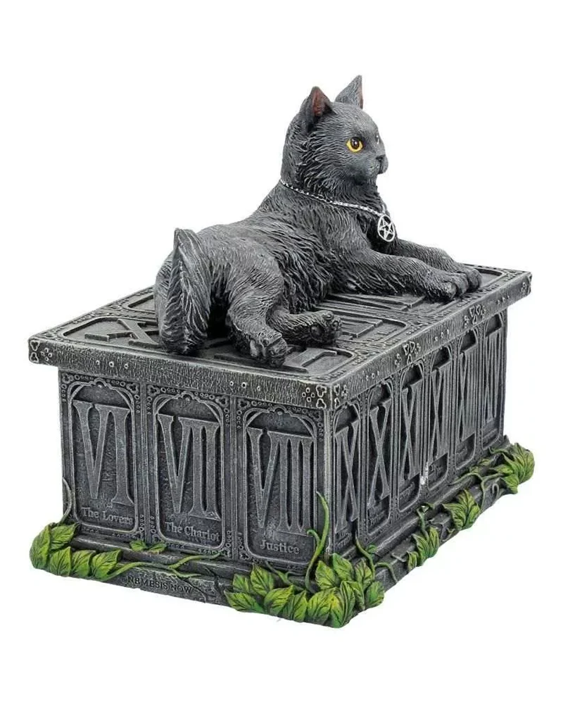 Glückswächter Katze auf Box