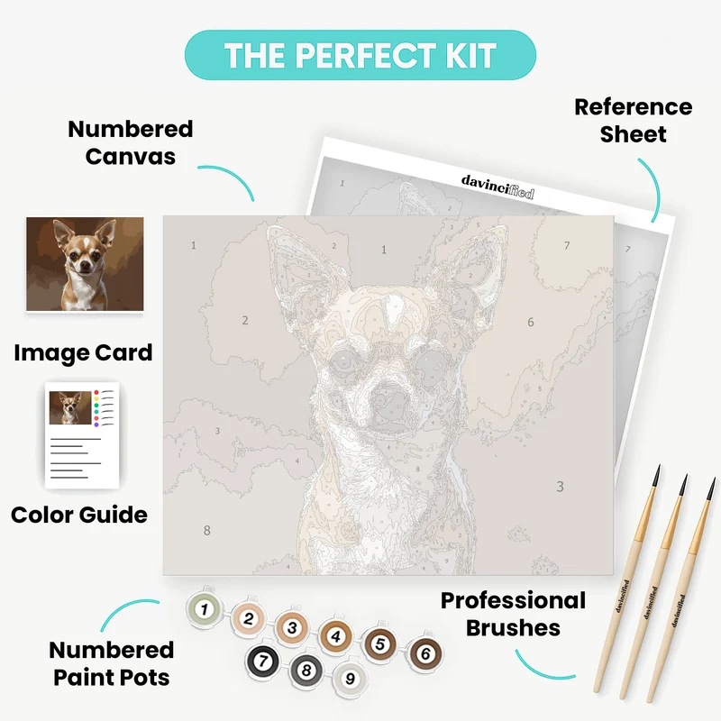 Chihuahua Portrait - Paint by Numbers Kit