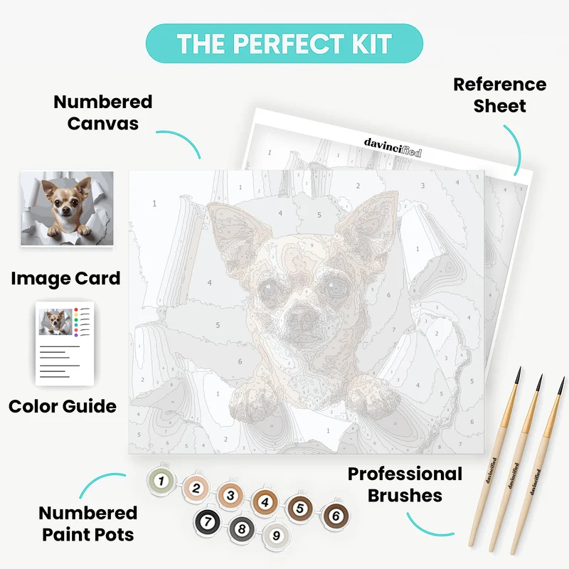 Adorable Chihuahua Breaking Through - Paint by Numbers Kit