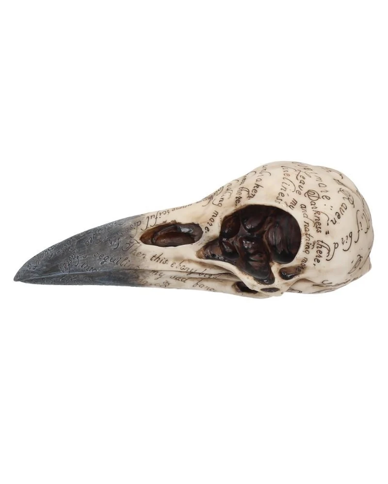 Edgar's Raben Skelettschädel