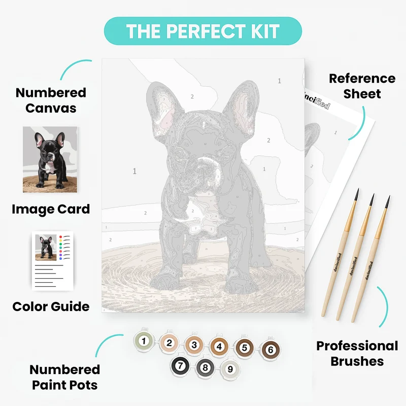 Black French Bulldog Puppy on Woven Mat - Paint by Numbers Kit