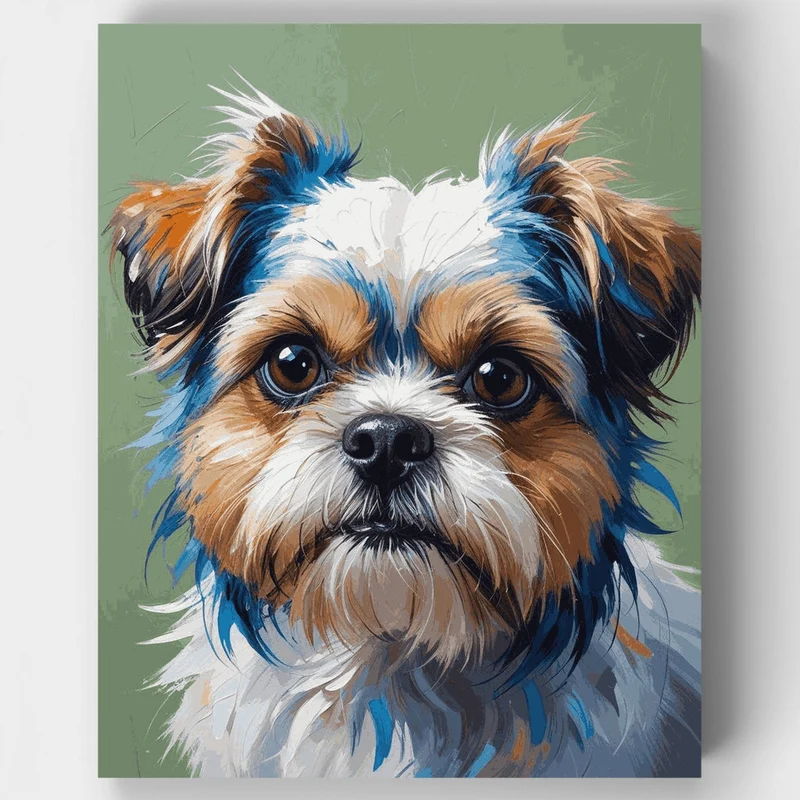 Shih Tzu Portrait - Paint by Numbers Kit