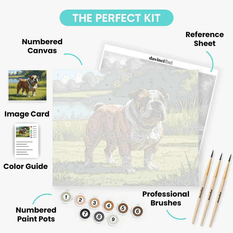 English Bulldog in Countryside - Paint by Numbers Kit