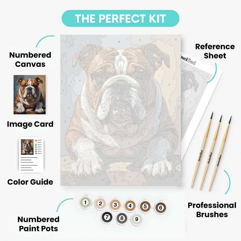 Majestic English Bulldog Portrait - Paint by Numbers Kit