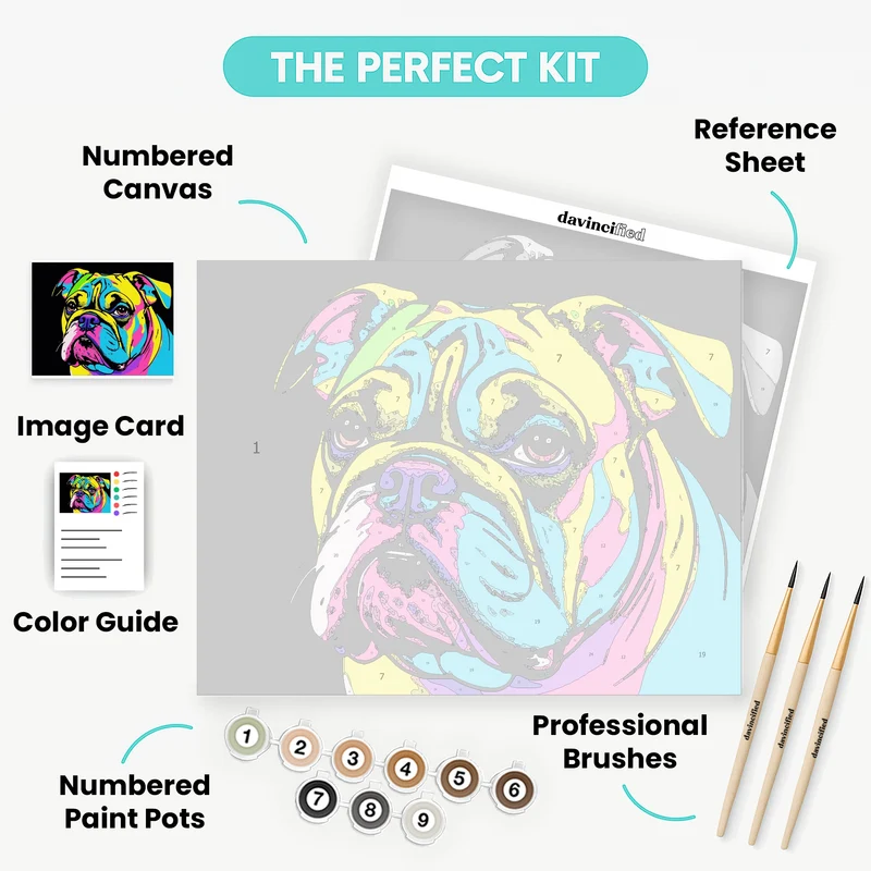 Vibrant Pop Art Bulldog - Paint by Numbers Kit