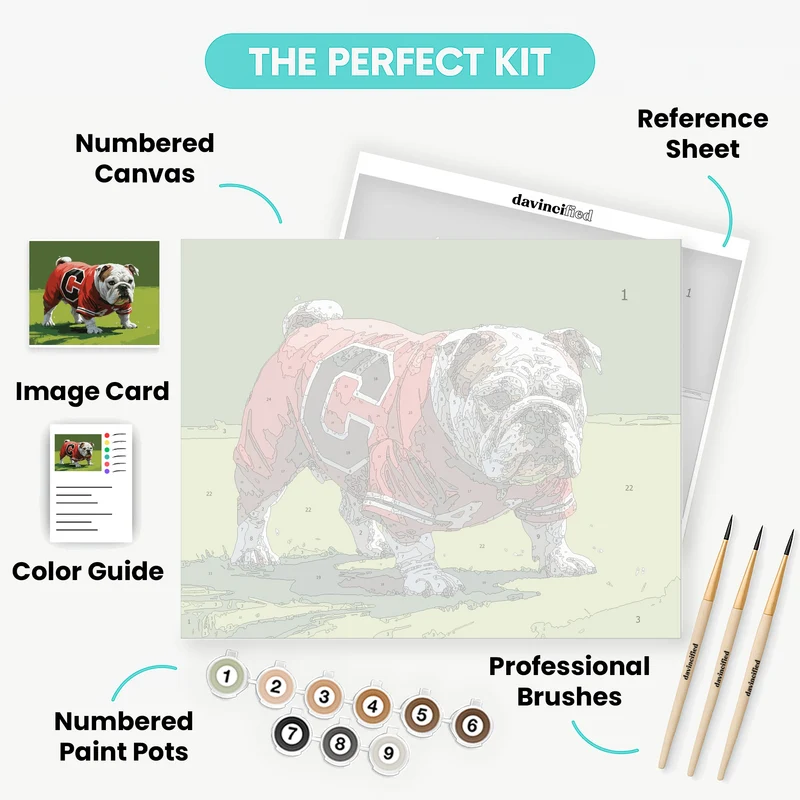 Bulldog in Red Jersey - Paint by Numbers Kit