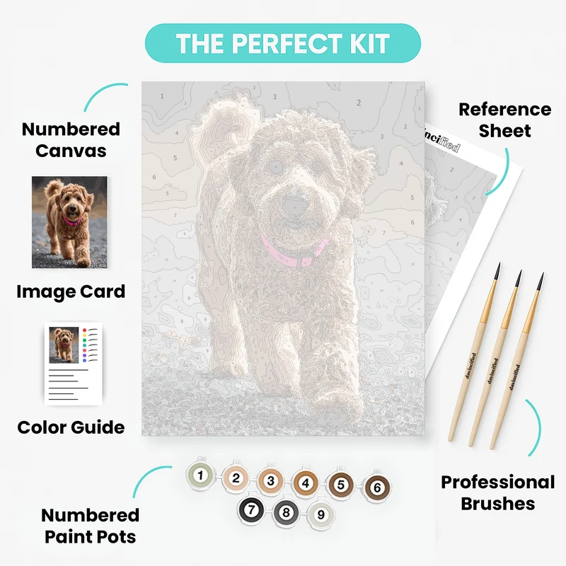 Goldendoodle with Pink Collar - Paint by Numbers Kit