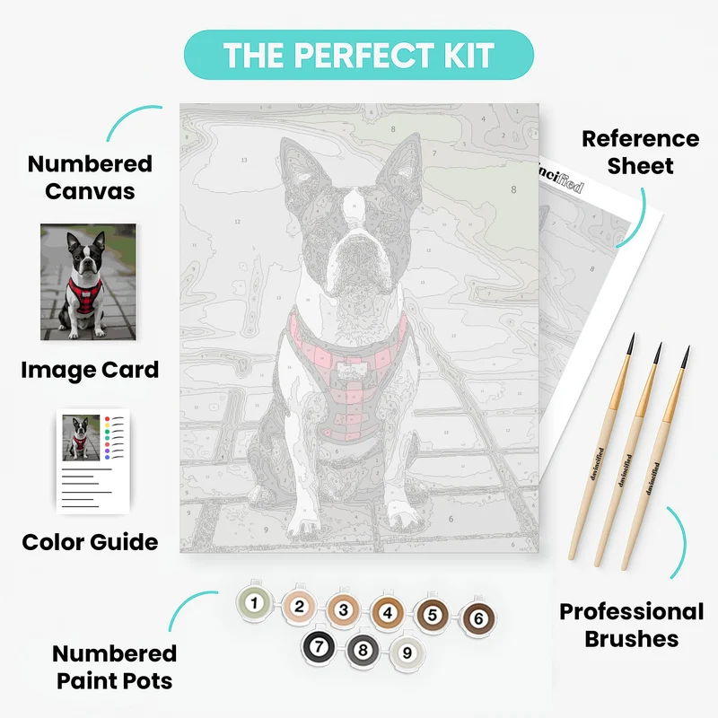Boston Terrier in Red Plaid Harness - Paint by Numbers Kit