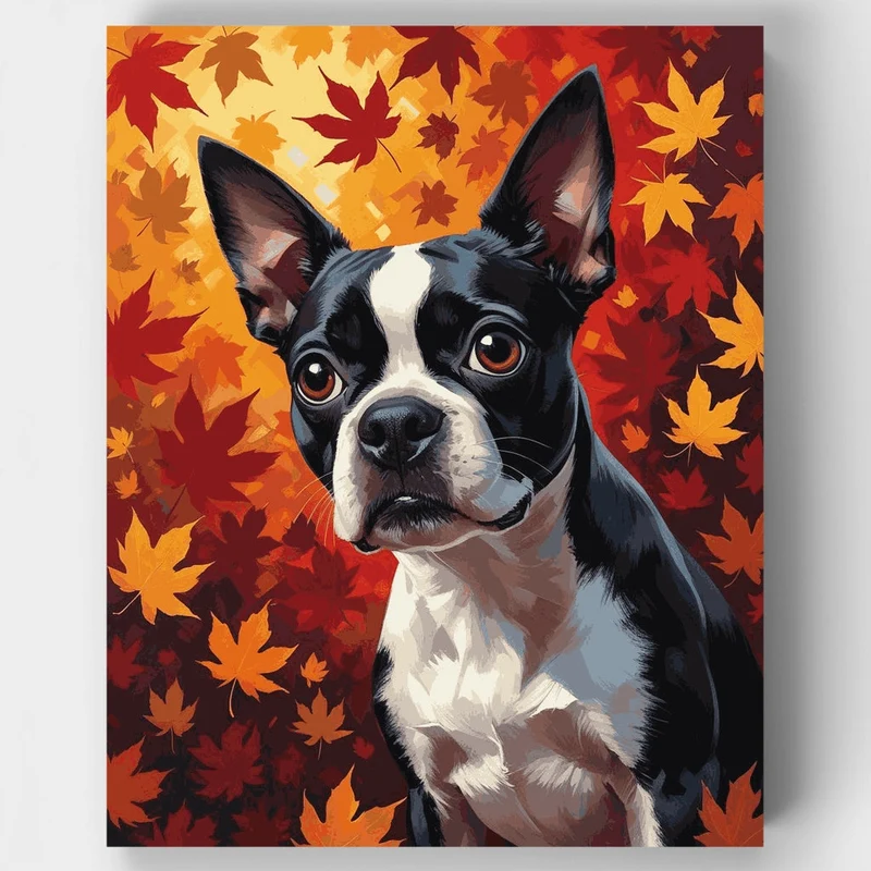 Boston Terrier in Autumn Leaves - Paint by Numbers Kit
