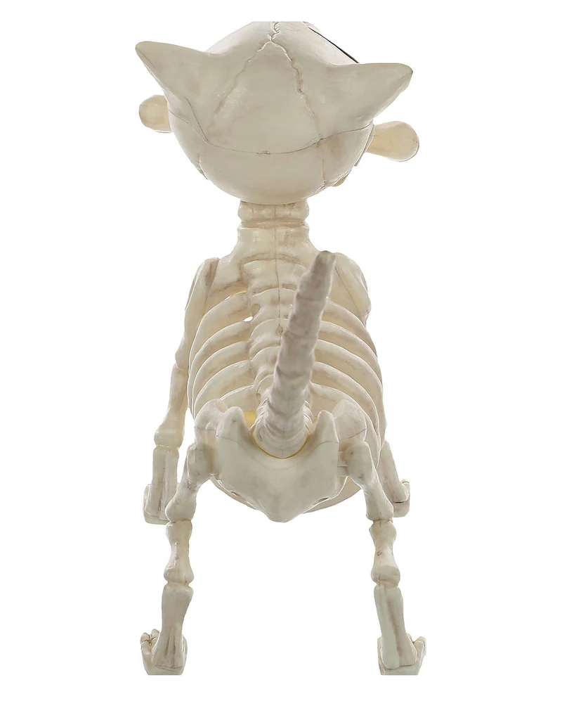 Hunde Skelett mit Knochen 27cm