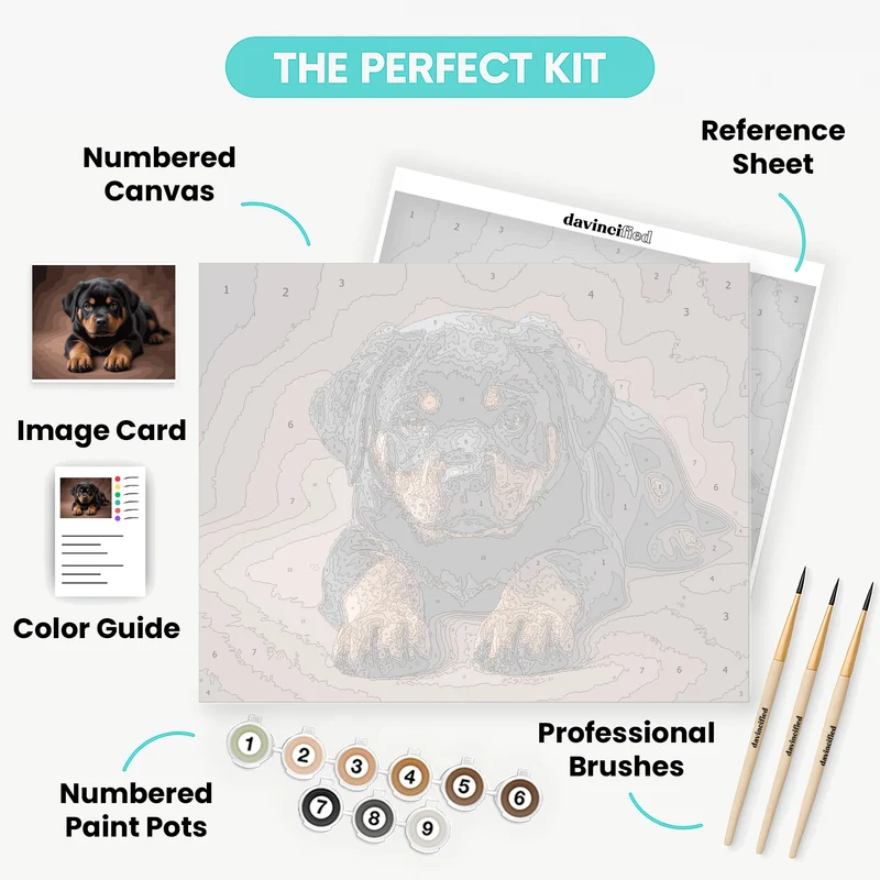 Rottweiler Puppy Portrait - Paint by Numbers Kit