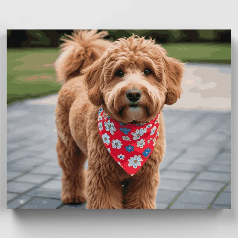 Adorable Goldendoodle with Floral Bandana - Paint by Numbers Kit