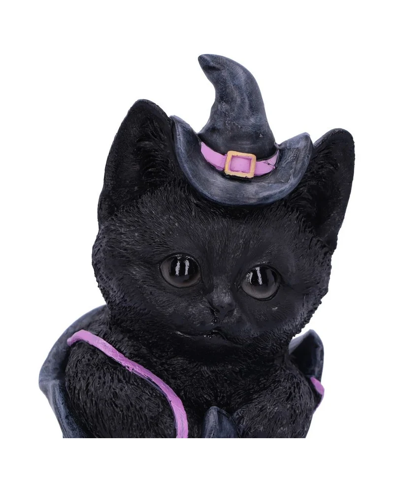 Schwarze Katze im Hexenschuh