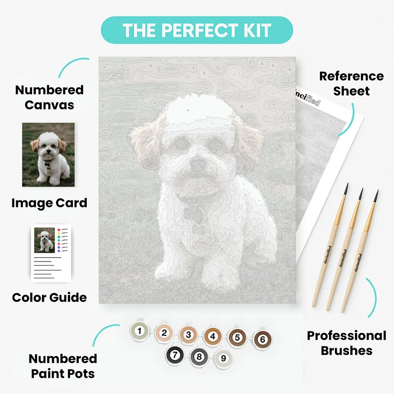 Adorable Bichon Frise Puppy - Paint by Numbers Kit