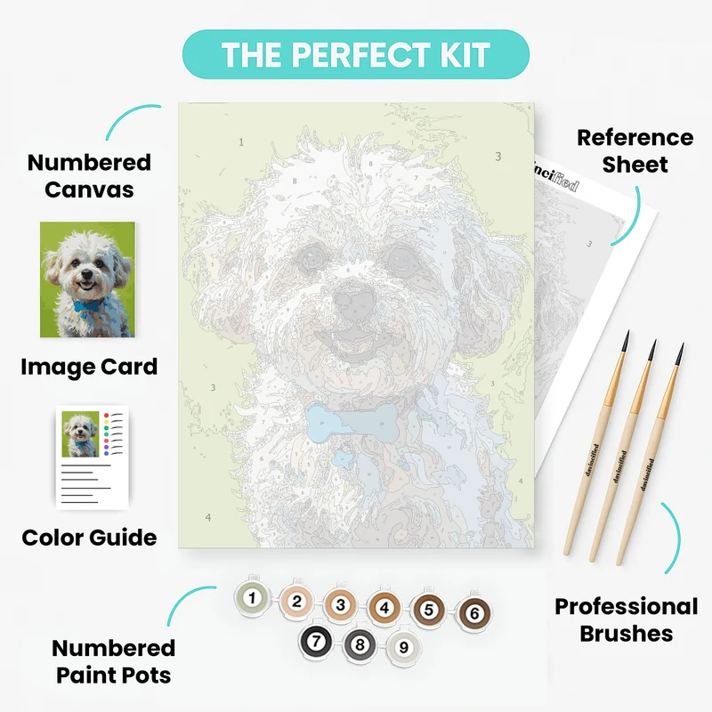 Happy Bichon Frise with Blue Collar - Paint by Numbers Kit