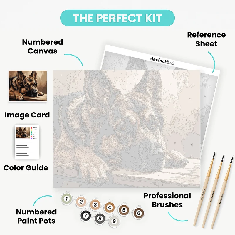 Loyal German Shepherd Resting - Paint by Numbers Kit