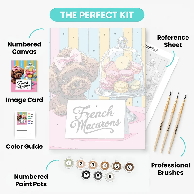 French Macarons - Paint by Numbers Kit