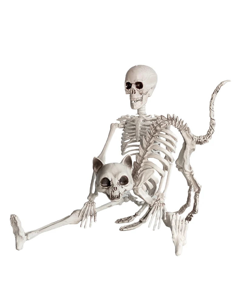 Halloween Skelett 40 cm