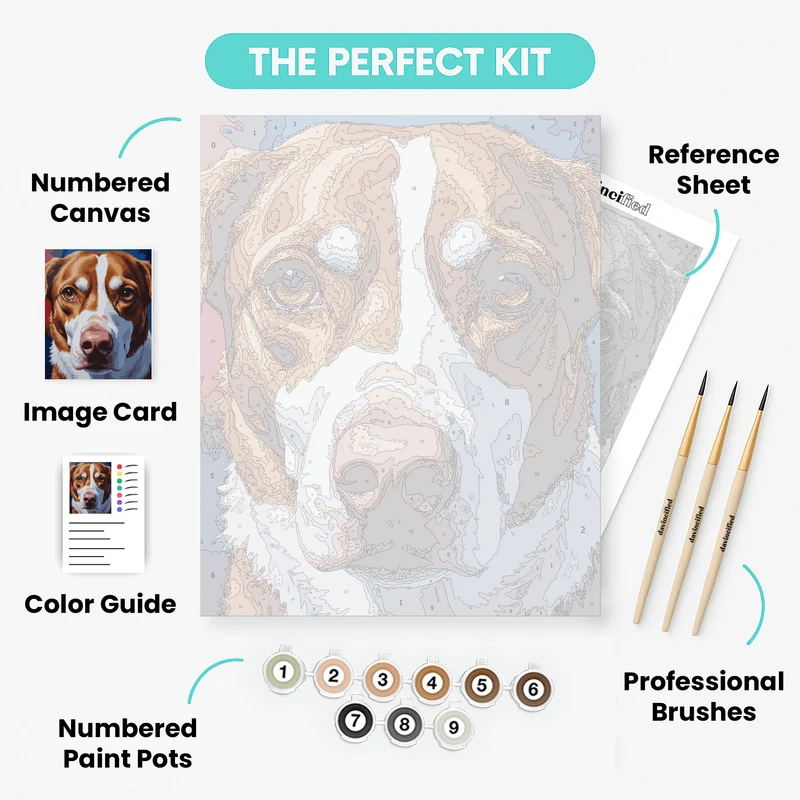 Beautiful Brown and White Spaniel Portrait - Paint by Numbers Kit